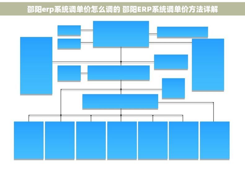 邵阳erp系统调单价怎么调的 邵阳ERP系统调单价方法详解