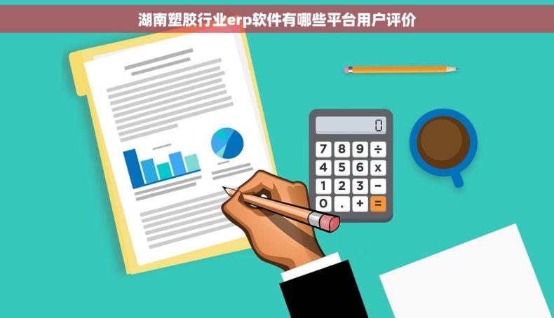 湖南塑胶行业erp软件有哪些平台用户评价