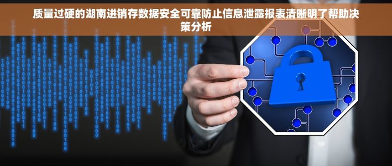 质量过硬的湖南进销存数据安全可靠防止信息泄露报表清晰明了帮助决策分析