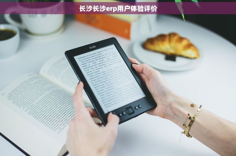 长沙长沙erp用户体验评价