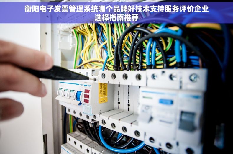 衡阳电子发票管理系统哪个品牌好技术支持服务评价企业选择指南推荐
