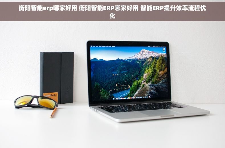 衡阳智能erp哪家好用 衡阳智能ERP哪家好用 智能ERP提升效率流程优化
