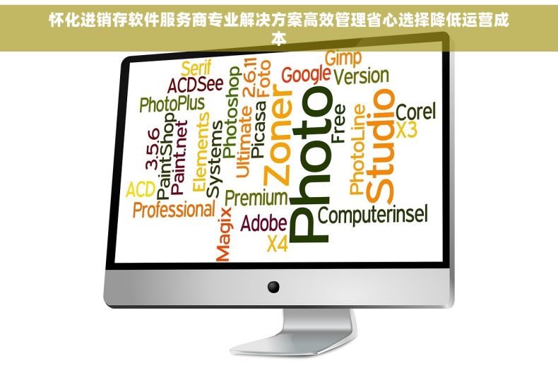 怀化进销存软件服务商专业解决方案高效管理省心选择降低运营成本