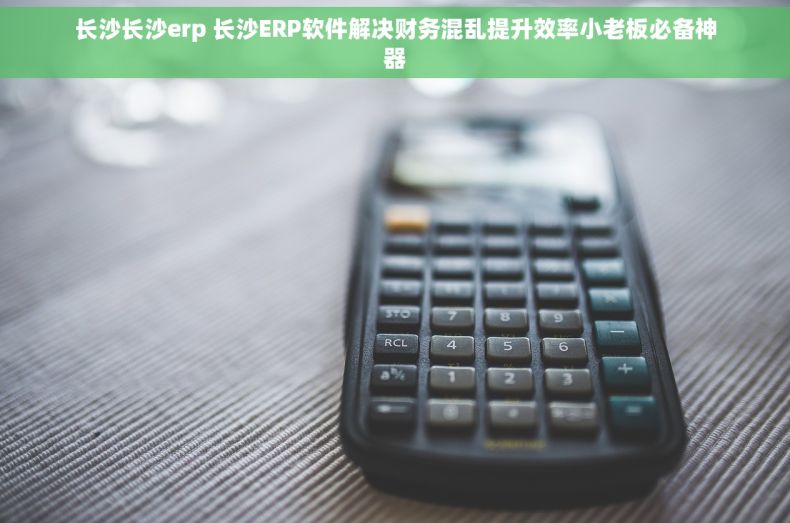 长沙长沙erp 长沙ERP软件解决财务混乱提升效率小老板必备神器