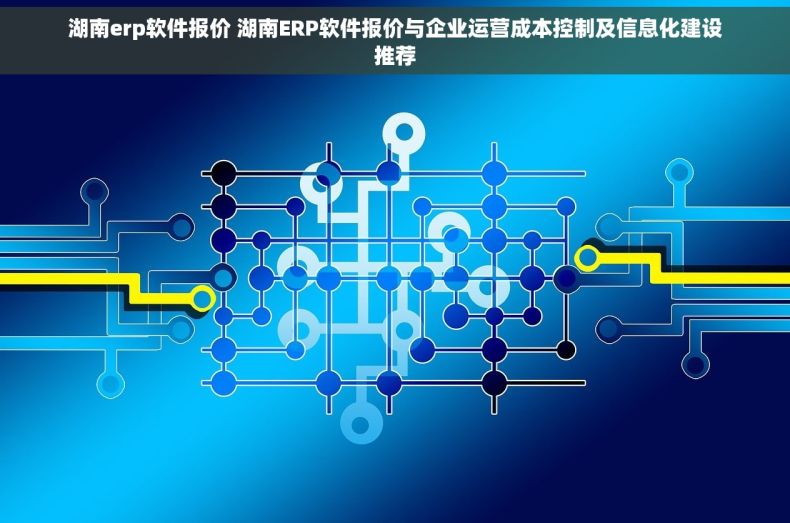 湖南erp软件报价 湖南ERP软件报价与企业运营成本控制及信息化建设推荐