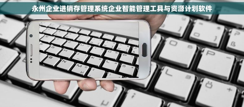 永州企业进销存管理系统企业智能管理工具与资源计划软件