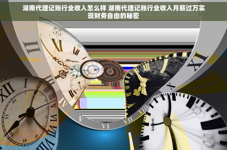 湖南代理记账行业收入怎么样 湖南代理记账行业收入月薪过万实现财务自由的秘密