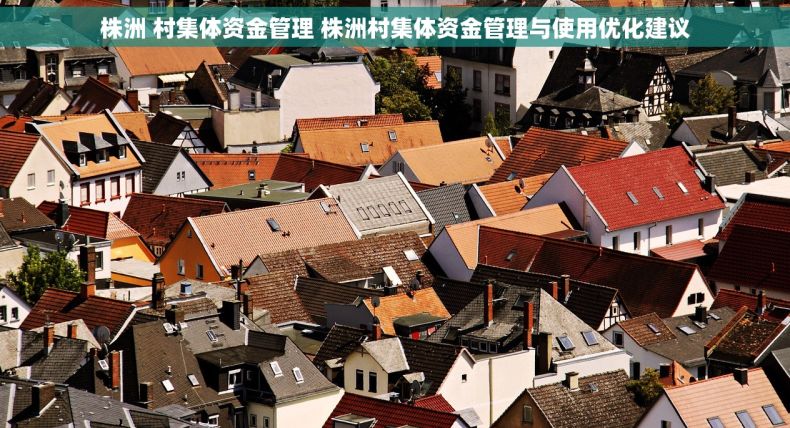 株洲 村集体资金管理 株洲村集体资金管理与使用优化建议