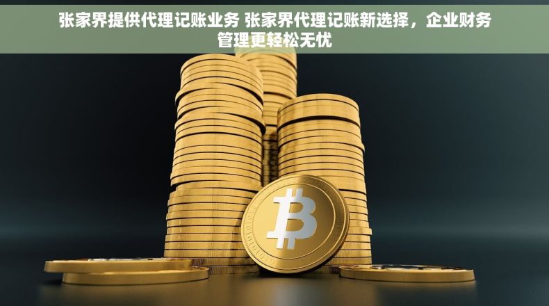张家界提供代理记账业务 张家界代理记账新选择，企业财务管理更轻松无忧