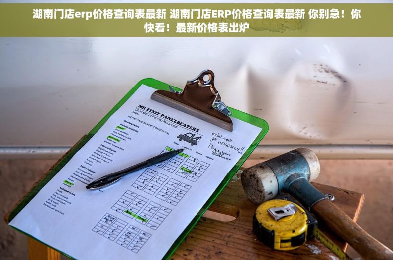 湖南门店erp价格查询表最新 湖南门店ERP价格查询表最新 你别急！你快看！最新价格表出炉