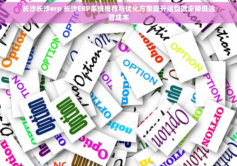 长沙长沙erp 长沙ERP系统推荐与优化方案提升运营效率降低运营成本