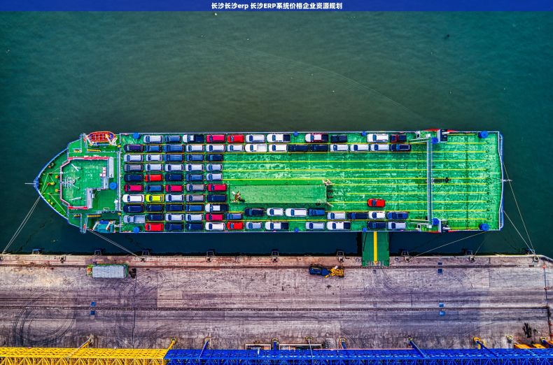 长沙长沙erp 长沙ERP系统价格企业资源规划