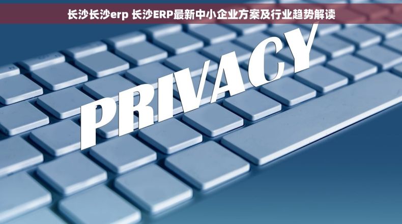 长沙长沙erp 长沙ERP最新中小企业方案及行业趋势解读