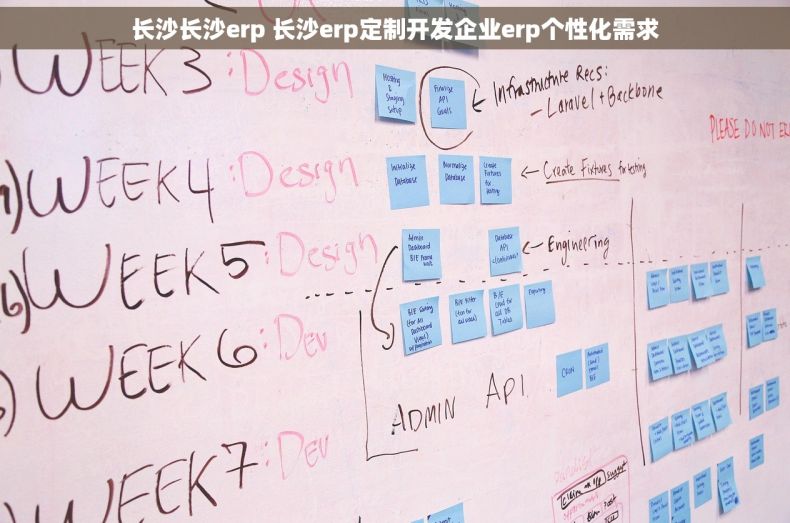 长沙长沙erp 长沙erp定制开发企业erp个性化需求