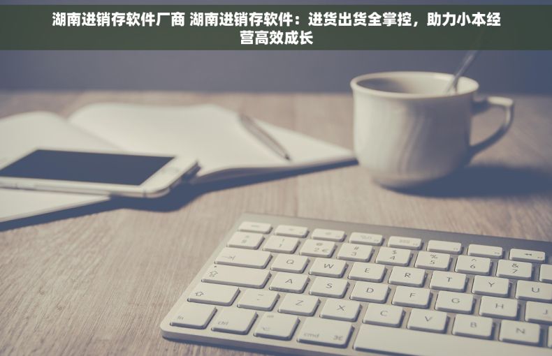 湖南进销存软件厂商 湖南进销存软件：进货出货全掌控，助力小本经营高效成长