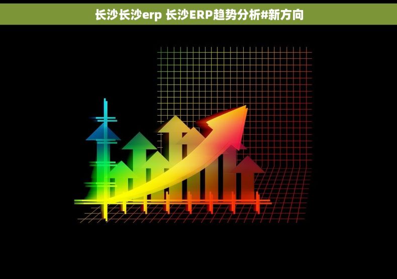 长沙长沙erp 长沙ERP趋势分析#新方向