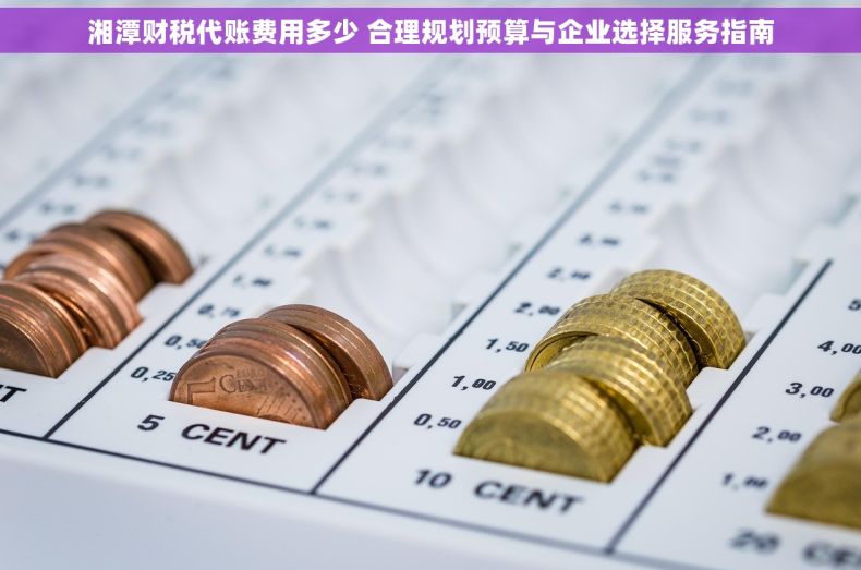 湘潭财税代账费用多少 合理规划预算与企业选择服务指南