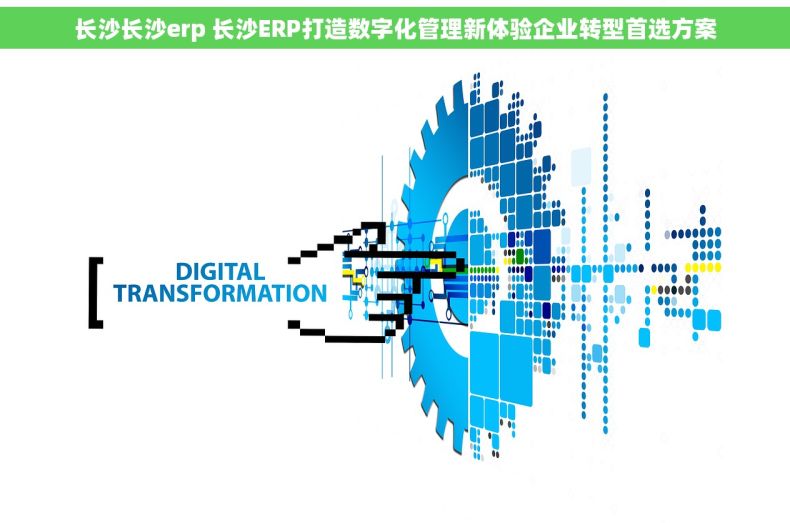 长沙长沙erp 长沙ERP打造数字化管理新体验企业转型首选方案