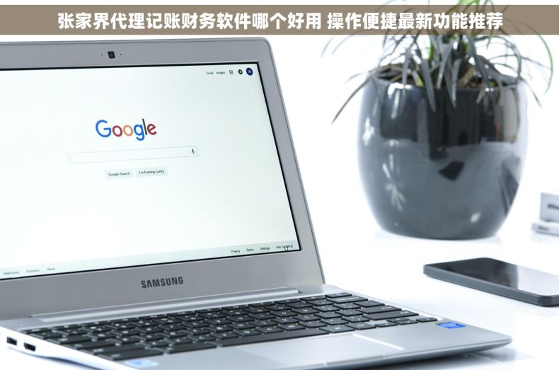 张家界代理记账财务软件哪个好用 操作便捷最新功能推荐