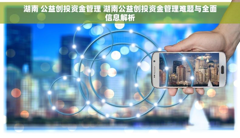 湖南 公益创投资金管理 湖南公益创投资金管理难题与全面信息解析