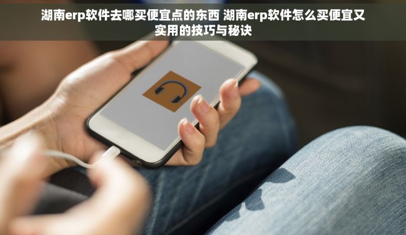 湖南erp软件去哪买便宜点的东西 湖南erp软件怎么买便宜又实用的技巧与秘诀