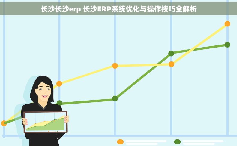 长沙长沙erp 长沙ERP系统优化与操作技巧全解析