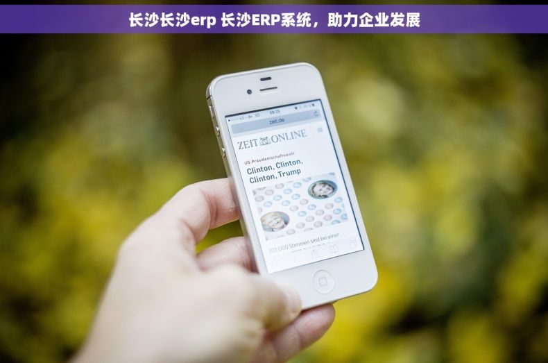 长沙长沙erp 长沙ERP系统，助力企业发展