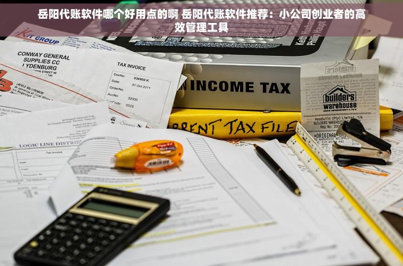 岳阳代账软件哪个好用点的啊 岳阳代账软件推荐：小公司创业者的高效管理工具