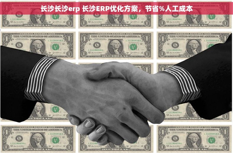 长沙长沙erp 长沙ERP优化方案，节省%人工成本