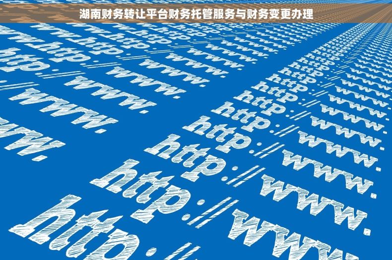 湖南财务转让平台财务托管服务与财务变更办理