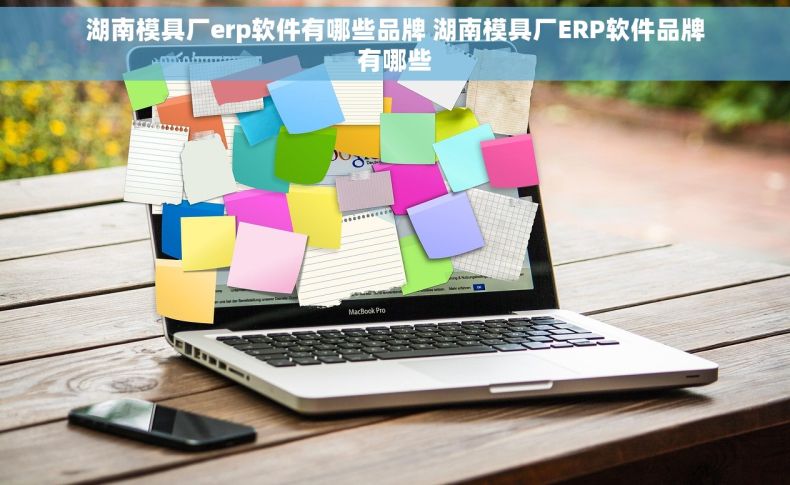 湖南模具厂erp软件有哪些品牌 湖南模具厂ERP软件品牌有哪些