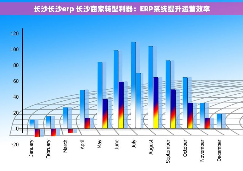 长沙长沙erp 长沙商家转型利器：ERP系统提升运营效率