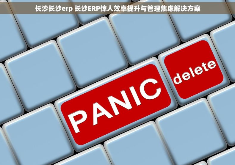 长沙长沙erp 长沙ERP惊人效率提升与管理焦虑解决方案