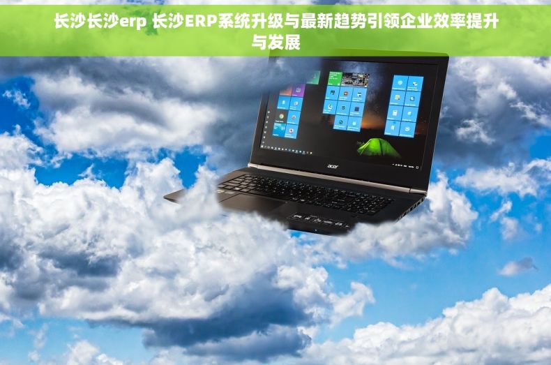 长沙长沙erp 长沙ERP系统升级与最新趋势引领企业效率提升与发展