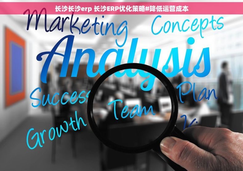 长沙长沙erp 长沙ERP优化策略#降低运营成本