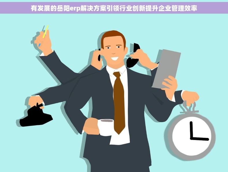有发展的岳阳erp解决方案引领行业创新提升企业管理效率