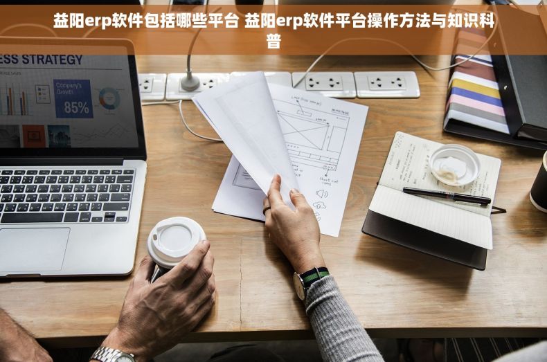 益阳erp软件包括哪些平台 益阳erp软件平台操作方法与知识科普