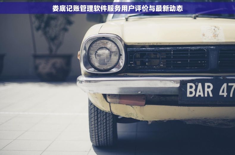 娄底记账管理软件服务用户评价与最新动态