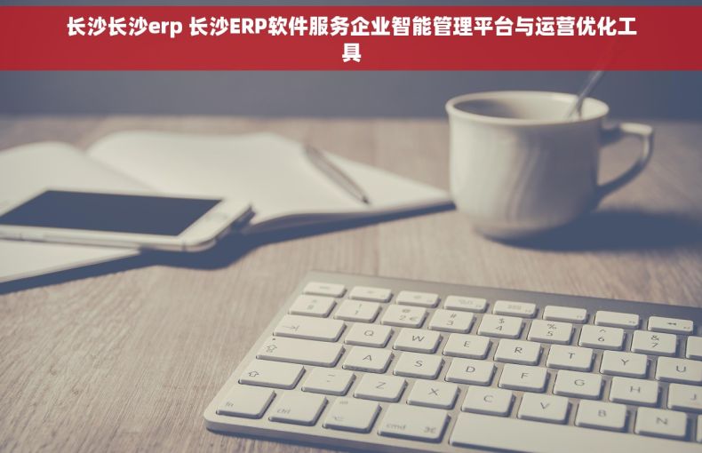 长沙长沙erp 长沙ERP软件服务企业智能管理平台与运营优化工具