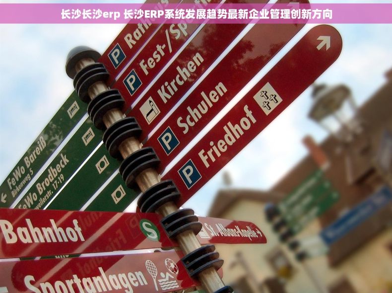 长沙长沙erp 长沙ERP系统发展趋势最新企业管理创新方向