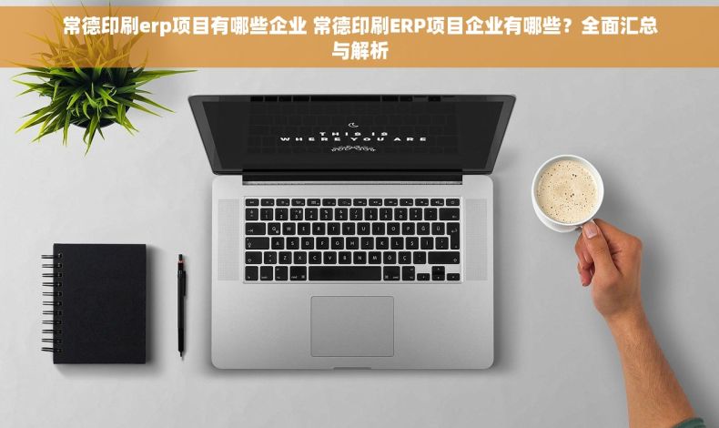 常德印刷erp项目有哪些企业 常德印刷ERP项目企业有哪些？全面汇总与解析