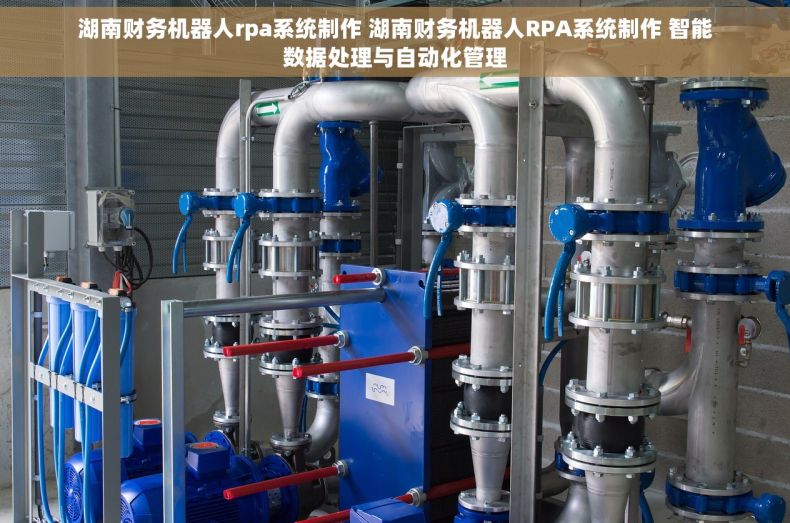 湖南财务机器人rpa系统制作 湖南财务机器人RPA系统制作 智能数据处理与自动化管理
