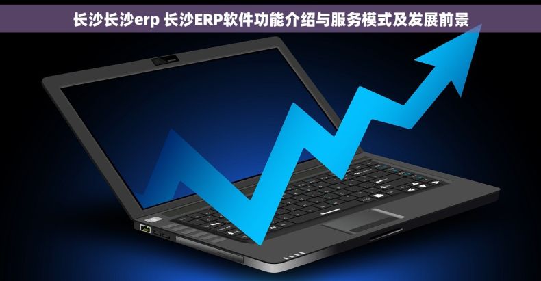 长沙长沙erp 长沙ERP软件功能介绍与服务模式及发展前景