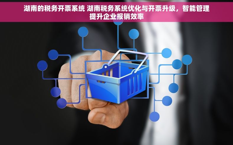 湖南的税务开票系统 湖南税务系统优化与开票升级，智能管理提升企业报销效率