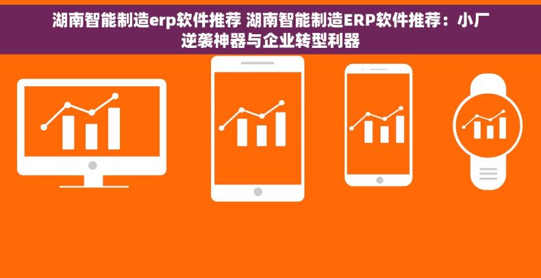 湖南智能制造erp软件推荐 湖南智能制造ERP软件推荐：小厂逆袭神器与企业转型利器
