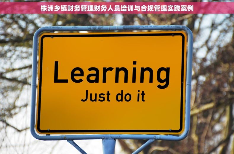 株洲乡镇财务管理财务人员培训与合规管理实践案例