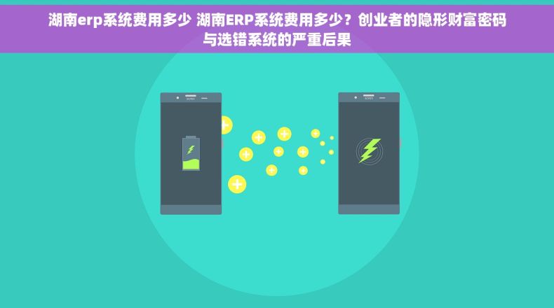 湖南erp系统费用多少 湖南ERP系统费用多少？创业者的隐形财富密码与选错系统的严重后果