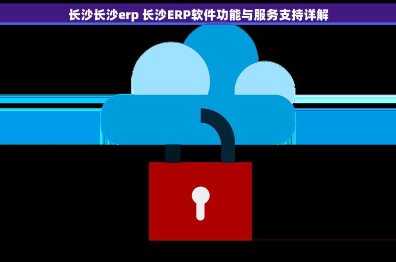 长沙长沙erp 长沙ERP软件功能与服务支持详解