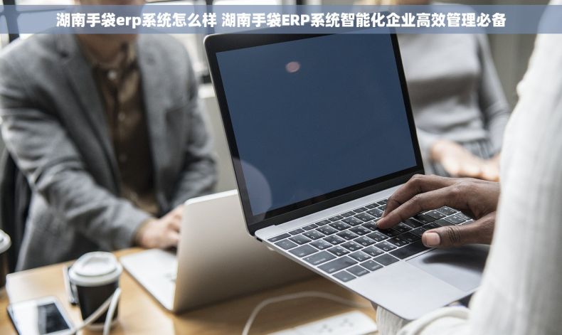 湖南手袋erp系统怎么样 湖南手袋ERP系统智能化企业高效管理必备