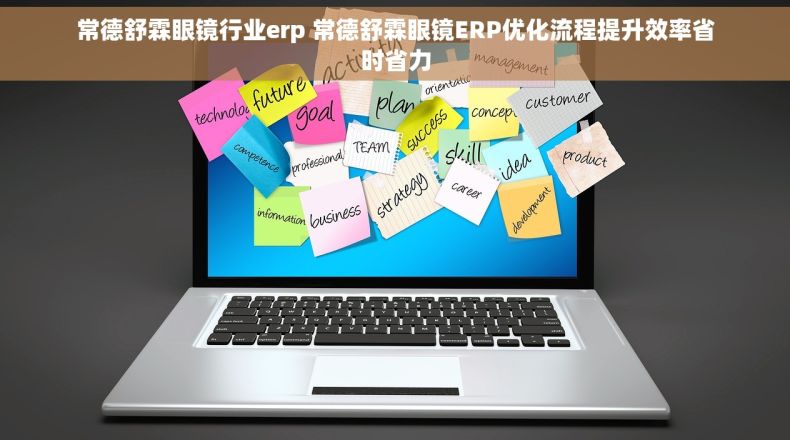 常德舒霖眼镜行业erp 常德舒霖眼镜ERP优化流程提升效率省时省力
